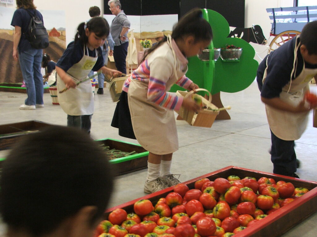 Farm to Fork - Kids picking apples